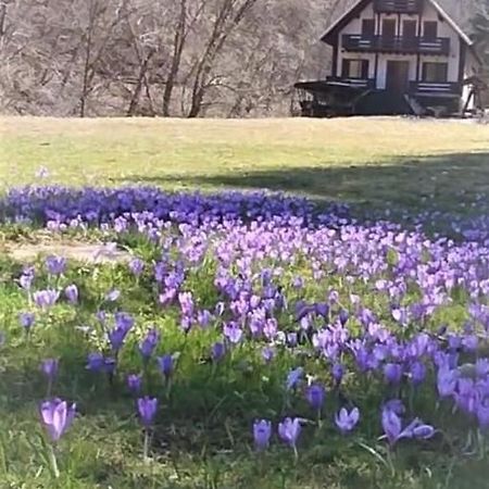 Casa De Vacanta Satic Piatra Craiului La Doi Viermi Kültér fotó
