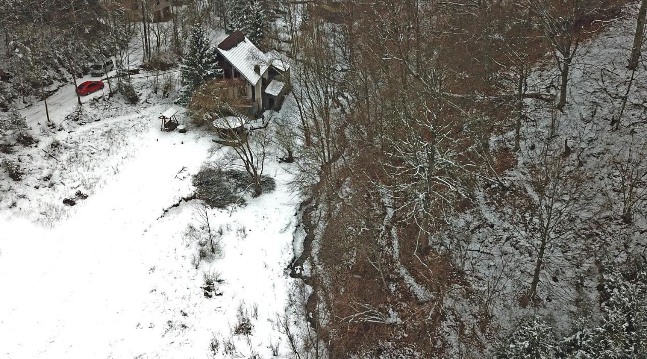 Casa De Vacanta Satic Piatra Craiului La Doi Viermi Kültér fotó