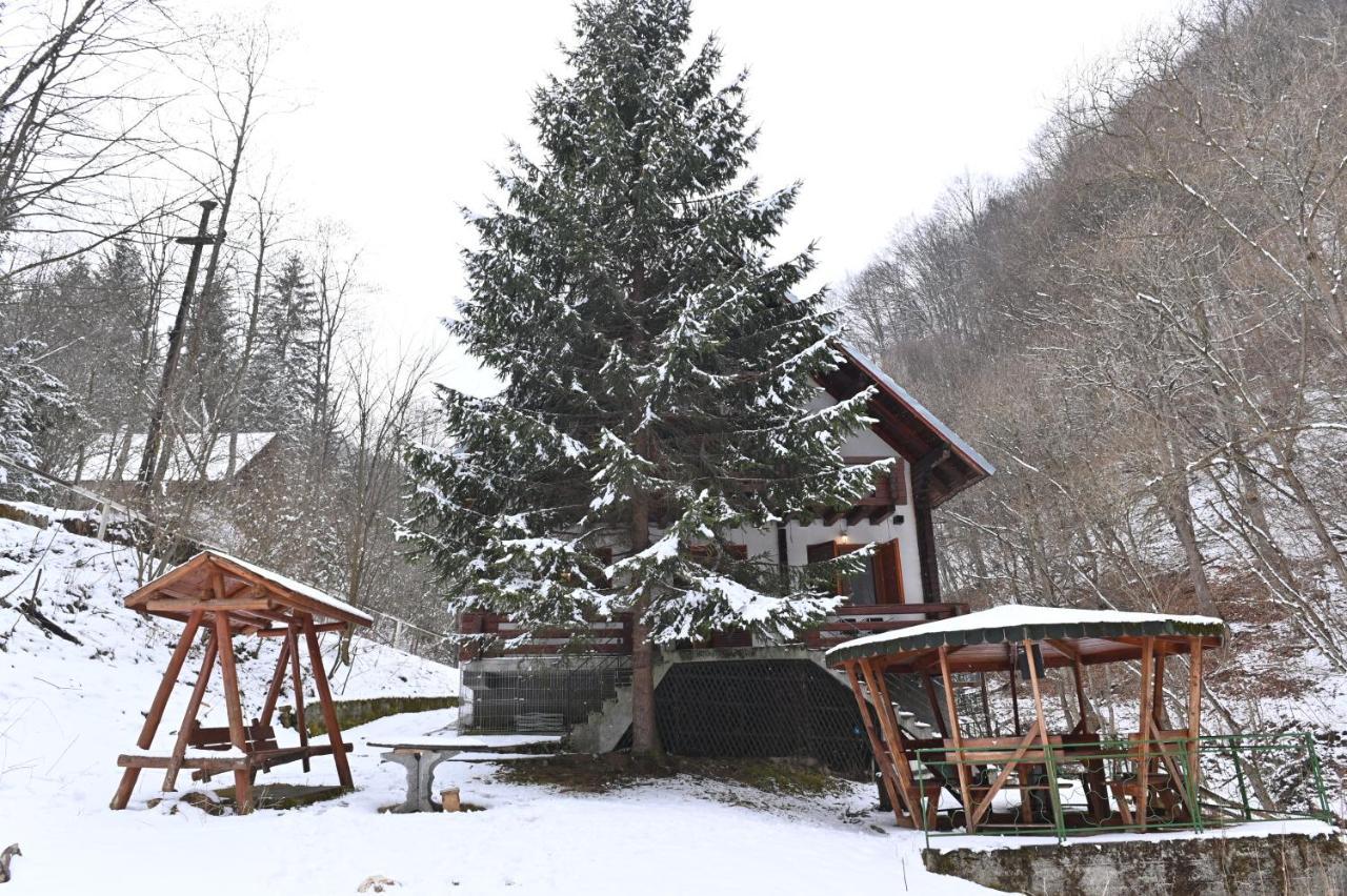 Casa De Vacanta Satic Piatra Craiului La Doi Viermi Kültér fotó