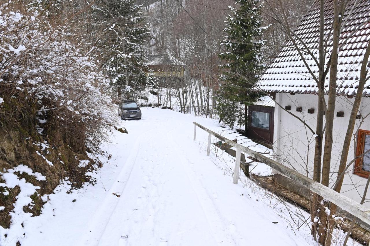 Casa De Vacanta Satic Piatra Craiului La Doi Viermi Kültér fotó