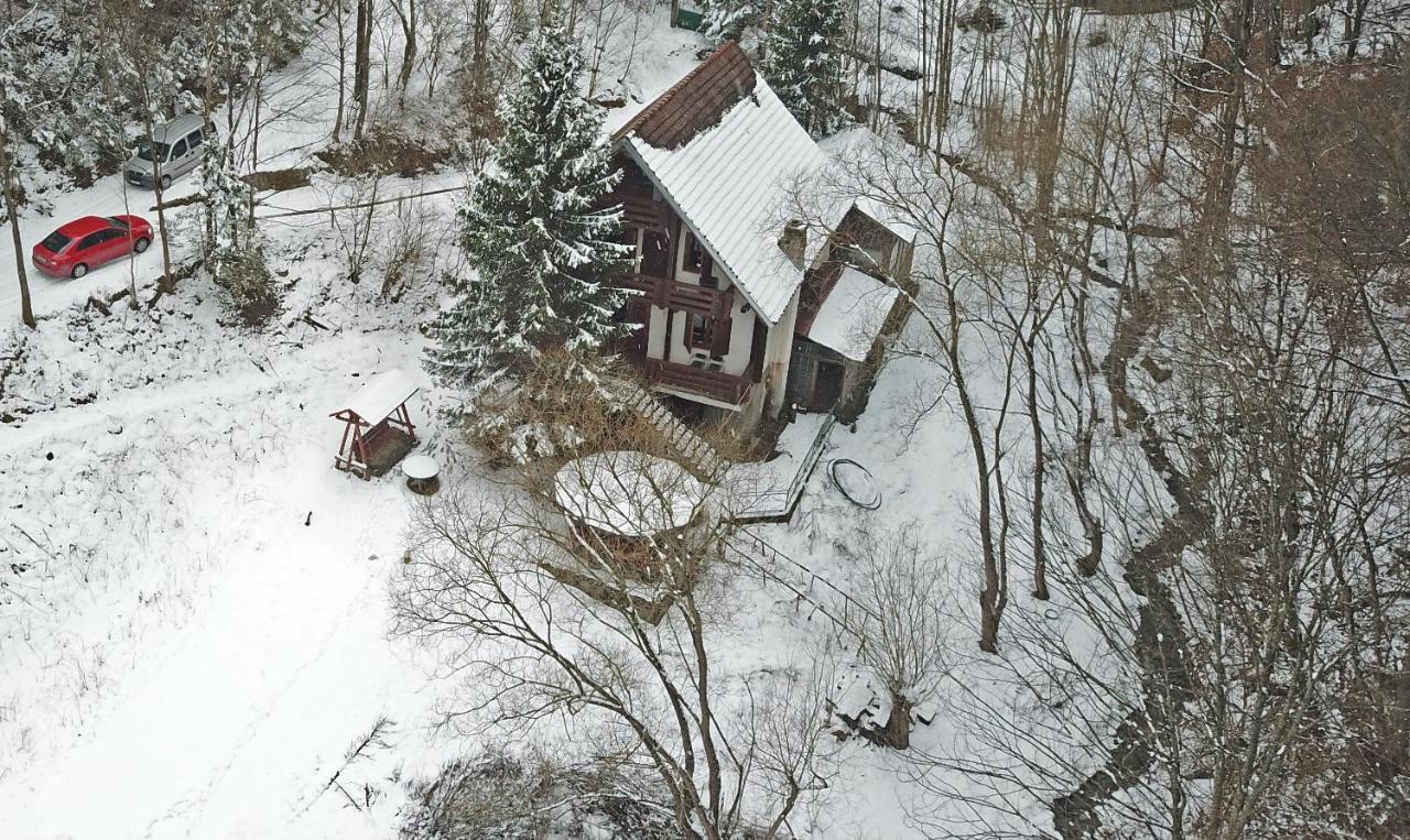 Casa De Vacanta Satic Piatra Craiului La Doi Viermi Kültér fotó