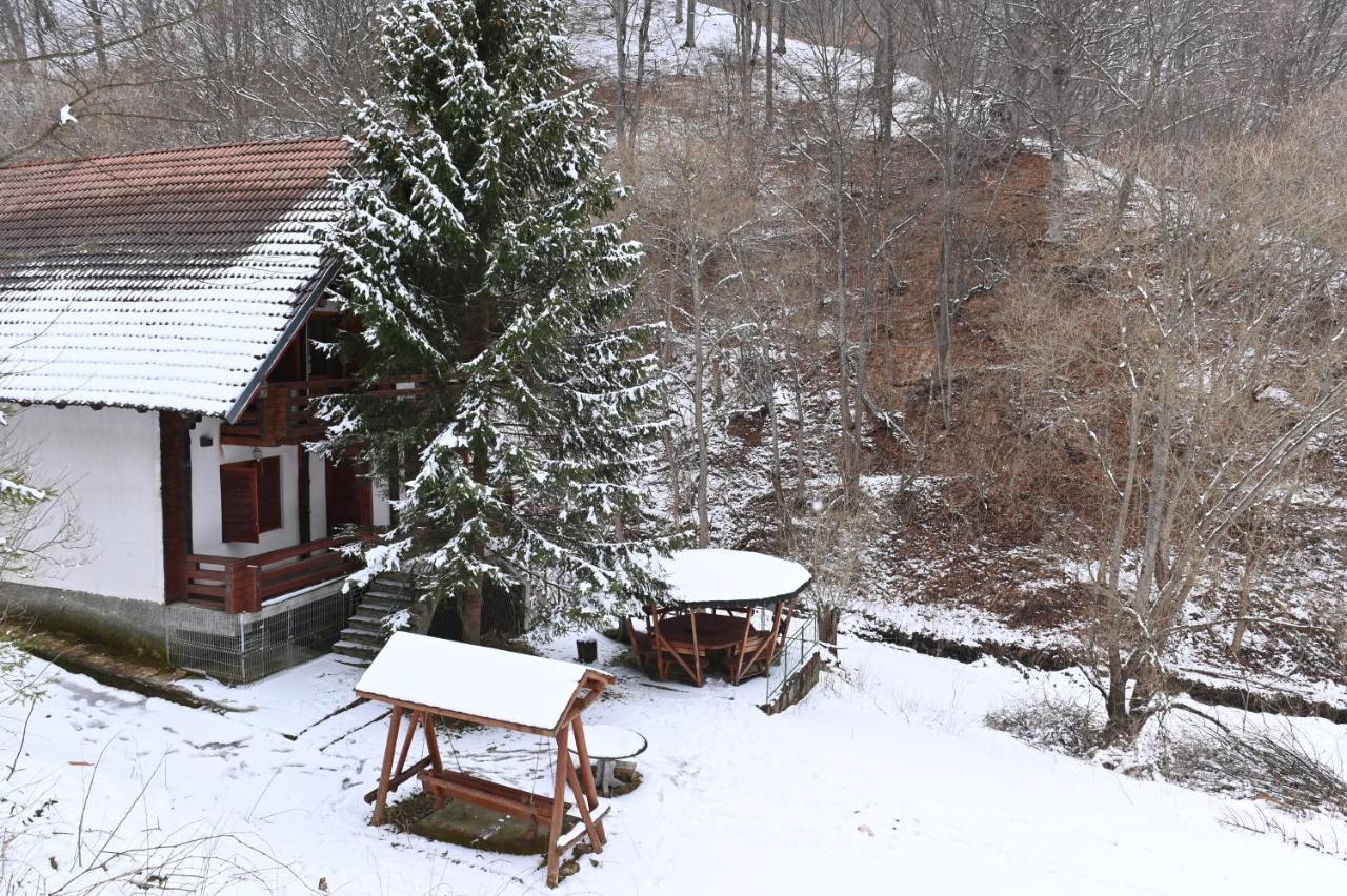 Casa De Vacanta Satic Piatra Craiului La Doi Viermi Kültér fotó