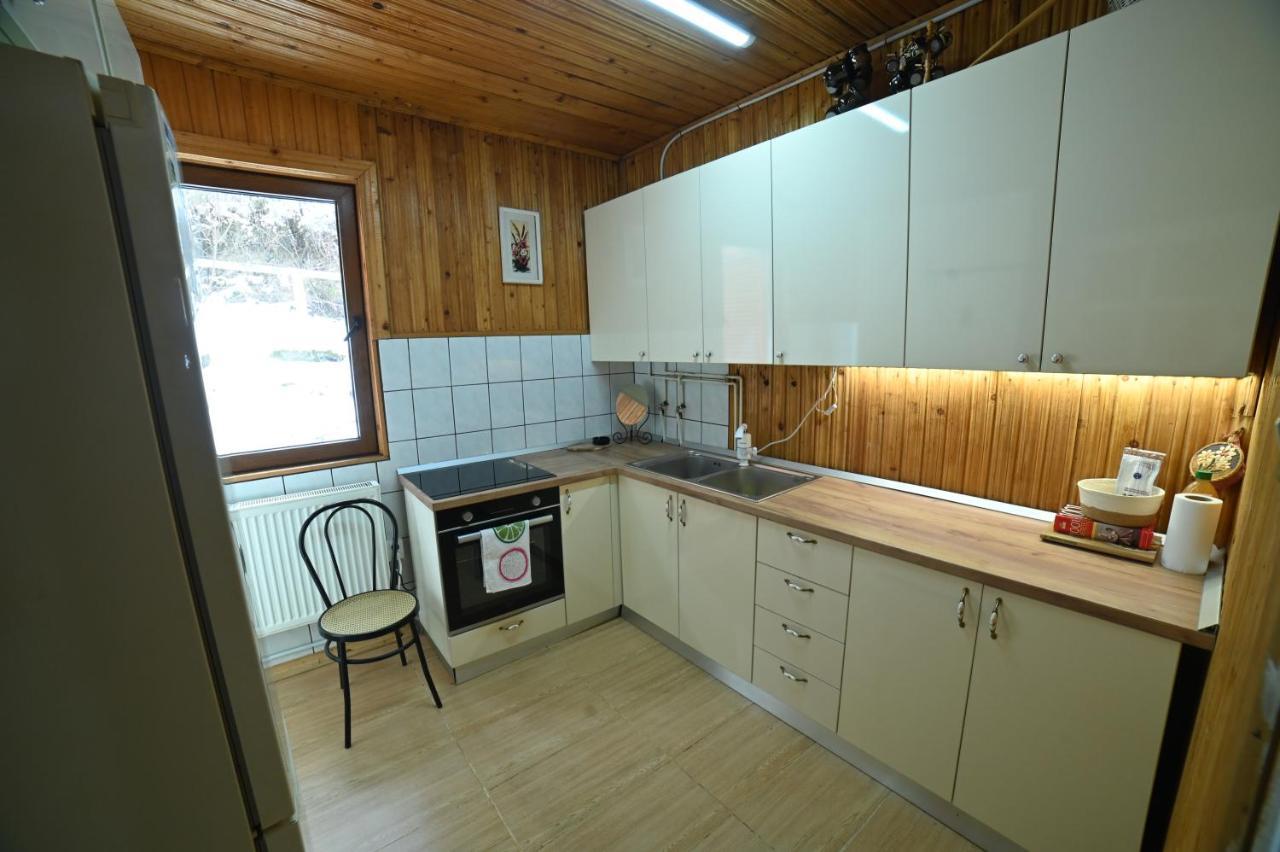 Casa De Vacanta Satic Piatra Craiului La Doi Viermi Kültér fotó