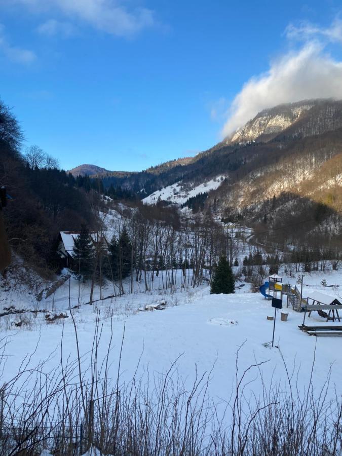 Casa De Vacanta Satic Piatra Craiului La Doi Viermi Kültér fotó