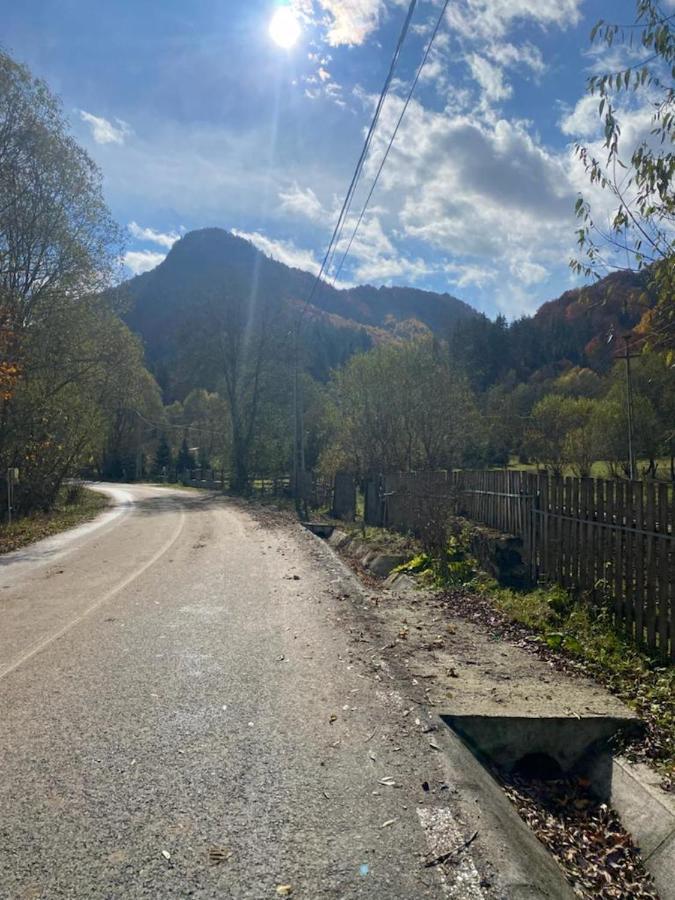 Casa De Vacanta Satic Piatra Craiului La Doi Viermi Kültér fotó