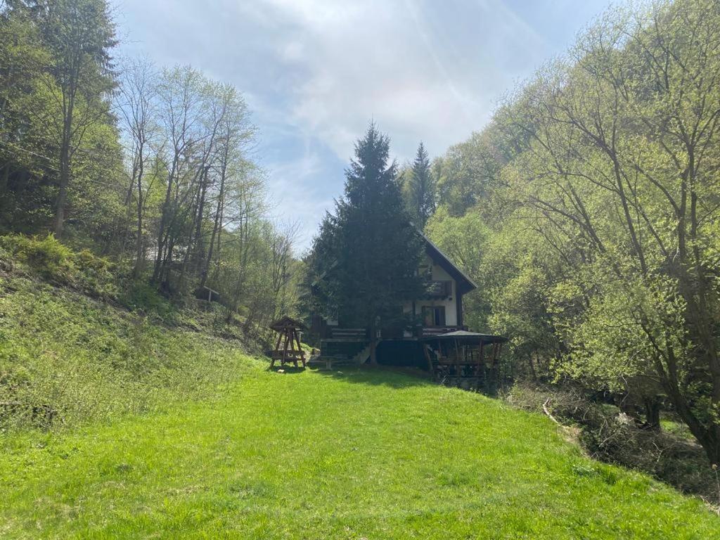 Casa De Vacanta Satic Piatra Craiului La Doi Viermi Kültér fotó