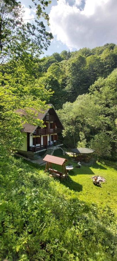 Casa De Vacanta Satic Piatra Craiului La Doi Viermi Kültér fotó