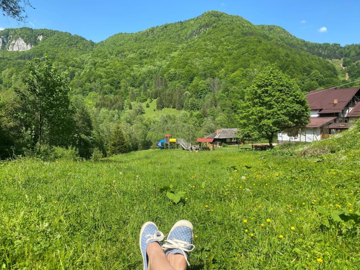 Casa De Vacanta Satic Piatra Craiului La Doi Viermi Kültér fotó