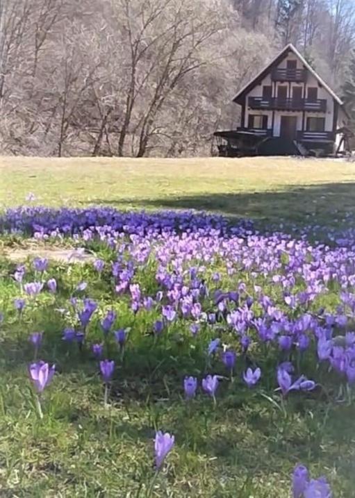 Casa De Vacanta Satic Piatra Craiului La Doi Viermi Kültér fotó