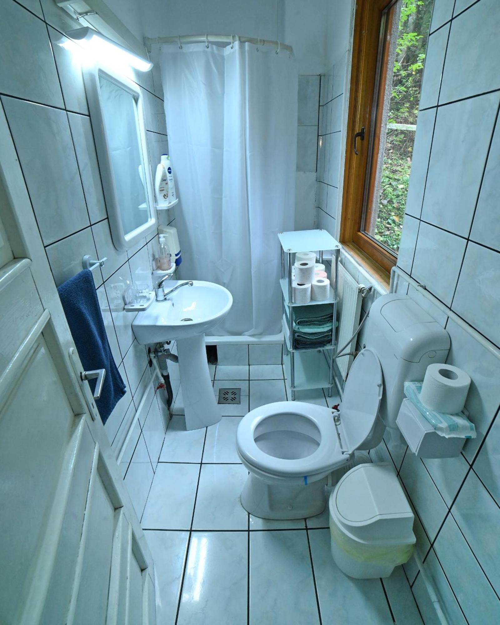 Casa De Vacanta Satic Piatra Craiului La Doi Viermi Kültér fotó