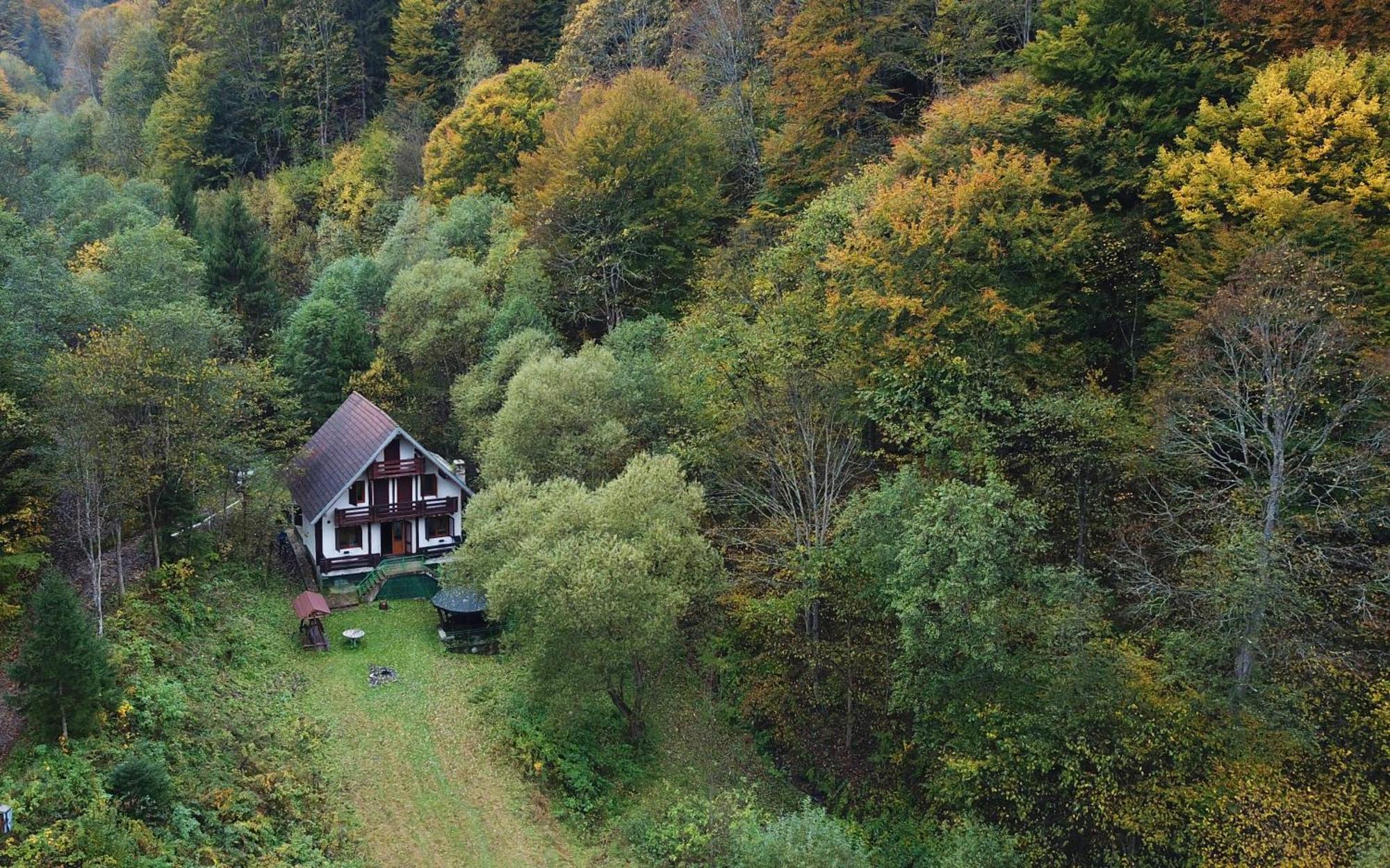 Casa De Vacanta Satic Piatra Craiului La Doi Viermi Kültér fotó